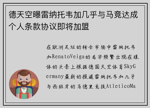 德天空曝雷纳托韦加几乎与马竞达成个人条款协议即将加盟