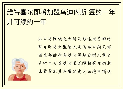 维特塞尔即将加盟乌迪内斯 签约一年并可续约一年